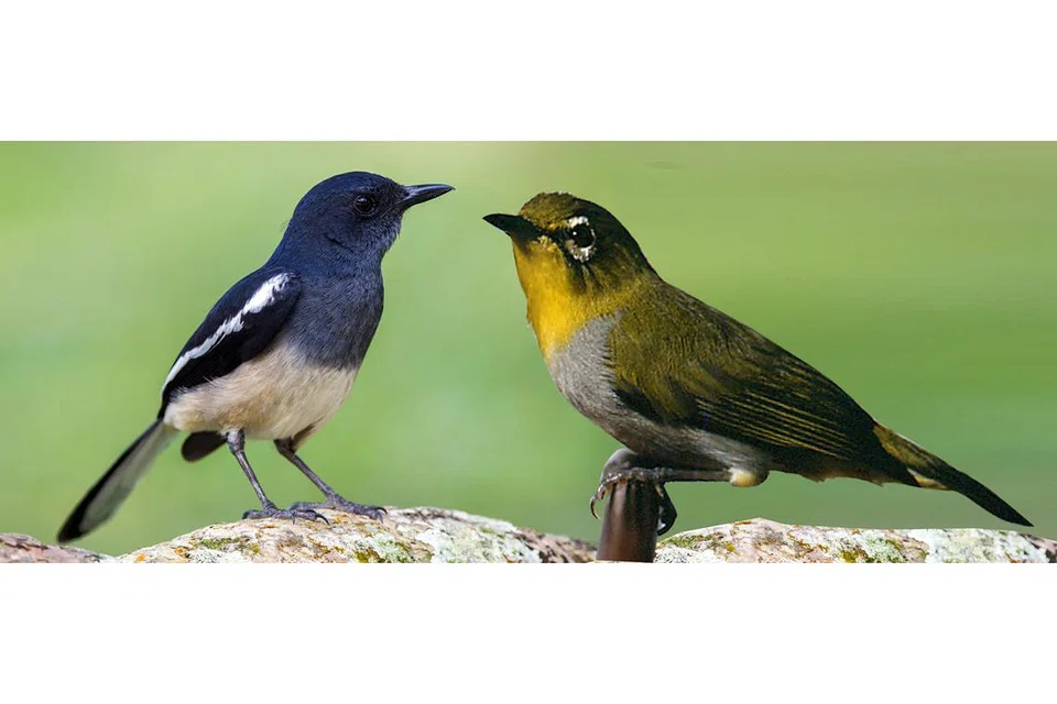 b79ba53d-032f-4012-9a27-0131ffc299fd