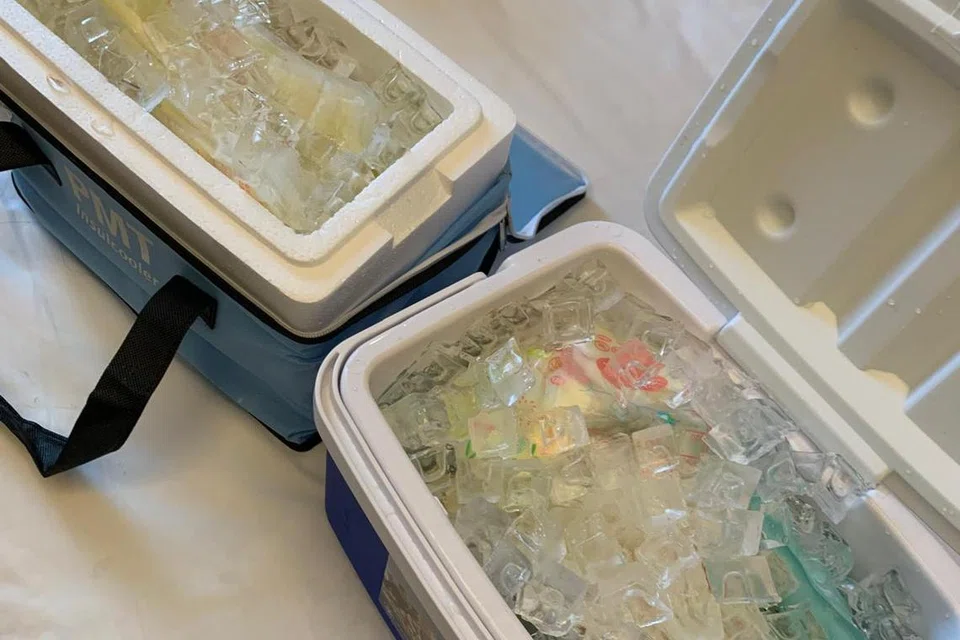 Susu badan Cik Siti Khairunnisa Zulkifle dibekukan dalam kotak pendingin dipenuhi ais.