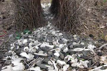 ILUSI: Kembara yang menggerunkan terutama apabila terperangkap dalam keadaan tidak sedar (Gambar hiasan)