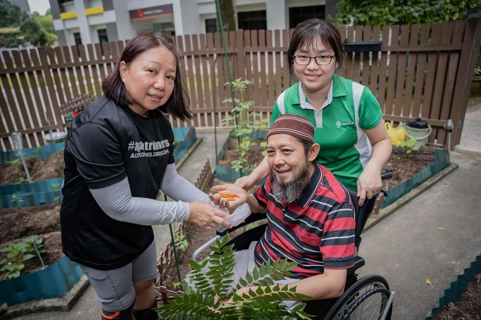 (Dari kiri) Cik Stephanie Lim, Encik Shariff Hamde dan Cik Priscilla Chng menanam pelbagai jenis tanaman seperti cili padi yang dapat mereka bawa pulang.