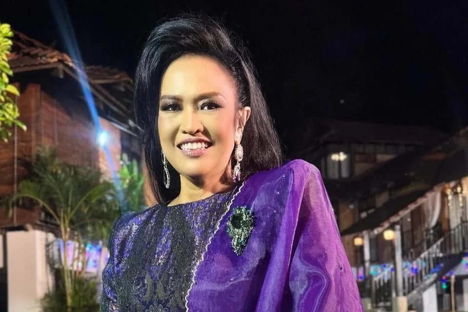 Liza Aziz, Gegar Vaganza, Konsert Perjuangan, Ain Society