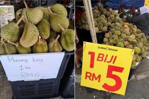 Pengeluaran durian yang meningkat mendadak baru-baru ini telah mengakibatkan pasaran dilanda bekalan berlebihan yang sangat tinggi.