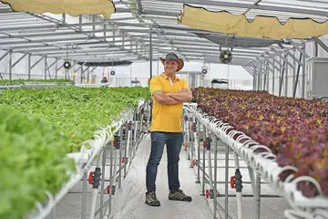 KEBUN MODEN: Encik Barber berazam mengembangkan kebun atas bumbung kendaliannya antara lain demi mengurangkan pergantungan Singapura terhadap sayur yang diimport dari luar negara. - Foto JOSEPH CHUA