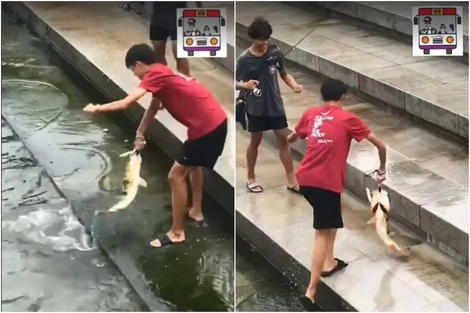 Dua remaja dirakam memancing di Merlion Park telah diberi nasihatoleh sekolah mereka, kata PUB. 