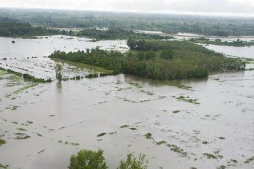 Keadaan sawah padi di Kampung Luar dan Kampung Tersang, dekat Rantau Panjang, Kelantan, yang ditenggelami banjir, menyebabkan 39 pengusaha kerugian RM1 juta.