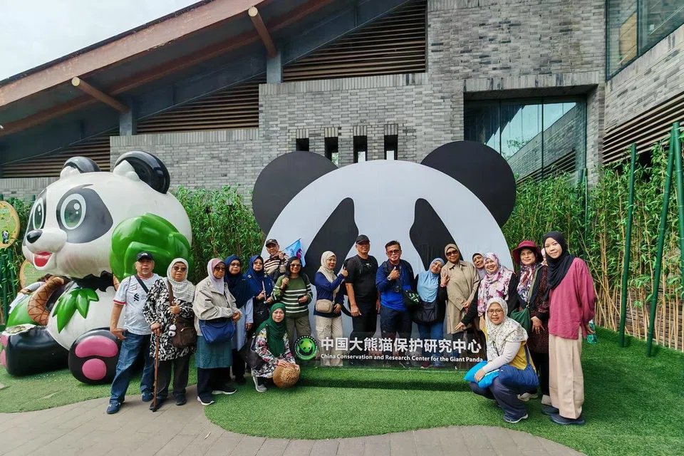 DREAMCATION CRUISES & TOURS, panda park