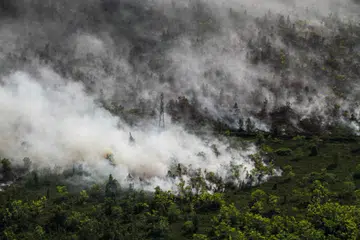 Kepulan asap tebal menyelubungi kawasan hutan dan tanah yang terbakar di Kampung Tumbang Nusa, Kabupaten Pulang Pisau, Kalimantan Tengah, Indonesia, pada 4 Ogos. Pemerintah wilayah Kalimantan Tengah mengisytiharkan darurat kebakaran hutan dan tanah sehingga 31 Oktober selepas lebih 1,715 hektar kawasan musnah dalam 907 kejadian setakat 3 Ogos, ketika Indonesia berdepan peningkatan titik panas dan risiko musim kebakaran paling buruk sejak 2019.