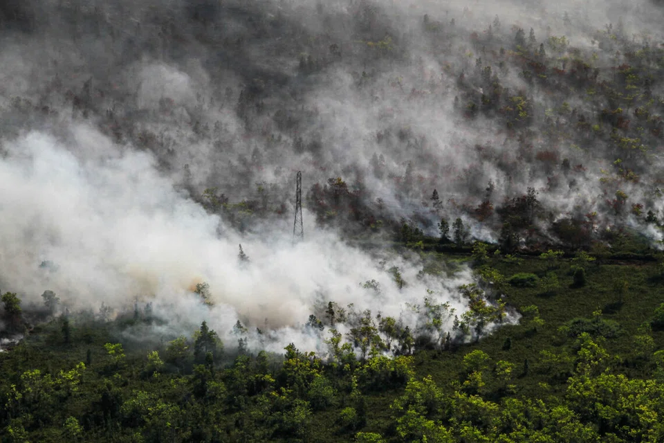 Kepulan asap tebal menyelubungi kawasan hutan dan tanah yang terbakar di Kampung Tumbang Nusa, Kabupaten Pulang Pisau, Kalimantan Tengah, Indonesia, pada 4 Ogos. Pemerintah wilayah Kalimantan Tengah mengisytiharkan darurat kebakaran hutan dan tanah sehingga 31 Oktober selepas lebih 1,715 hektar kawasan musnah dalam 907 kejadian setakat 3 Ogos, ketika Indonesia berdepan peningkatan titik panas dan risiko musim kebakaran paling buruk sejak 2019.