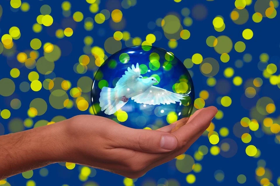 karya, cerpen, kalau aku boleh bermimpi 