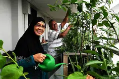 SUDAH EMPAT DEKAD TINGGAL DI FLAT SAMA: Cik Rosnani Supardi telah membeli rumah pertamanya di Marsiling bersama suami, Encik Shamsudin Ahmad, 64 tahun, dengan harga $32,000. Cik Rosnani akur bahawa flat empat blik itu banyak kenangan dan beliau gembira duduk di sana kerana ramai jiran yang baik. - Foto BM oleh KHALID BABA