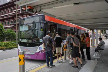 bus, SBS, mrt, public transport