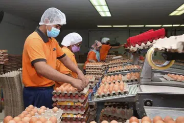 BIAR ADIL: Penentuan harga baru ayam dan telur di pasaran perlu adil buat semua pihak iaitu pengguna, penternak dan pembekal.