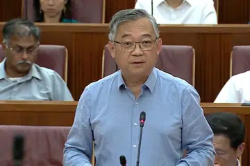 Gan Kim Yong, Parlimen, Amanat Presiden