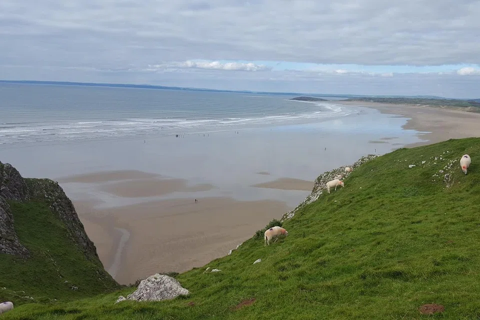 MENAKJUBKAN: Pantai Rhossili merupakan salah sebuah pantai yang disenaraikan sebagai antara tercantik di dunia, terletak di kawasan Gower, sekitar sejam perjalanan dari kota Swansea. Satu perkara unik yang boleh disaksikan di tebing curam pantai itu ialah kambing kibas peliharaan yang lepas bebas menikmati rumput hijau di situ. - Foto SHAMSUL JANGARODIN
