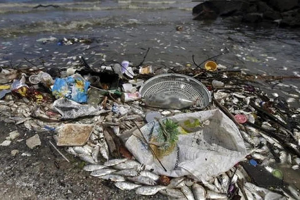 MASIH KOTOR: Sampah seperti beg dan botol plastik, serta bangkai ikan memenuhi perairan pantai. - Foto REUTERS