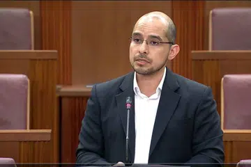 COS, pemerkasaan Bahasa Ibunda, Syed Harun