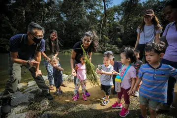 MANFAAT BELAJAR DI LUAR: Kanak-kanak prasekolah belajar tentang alam sekitar di Kolam Air MacRitchie.