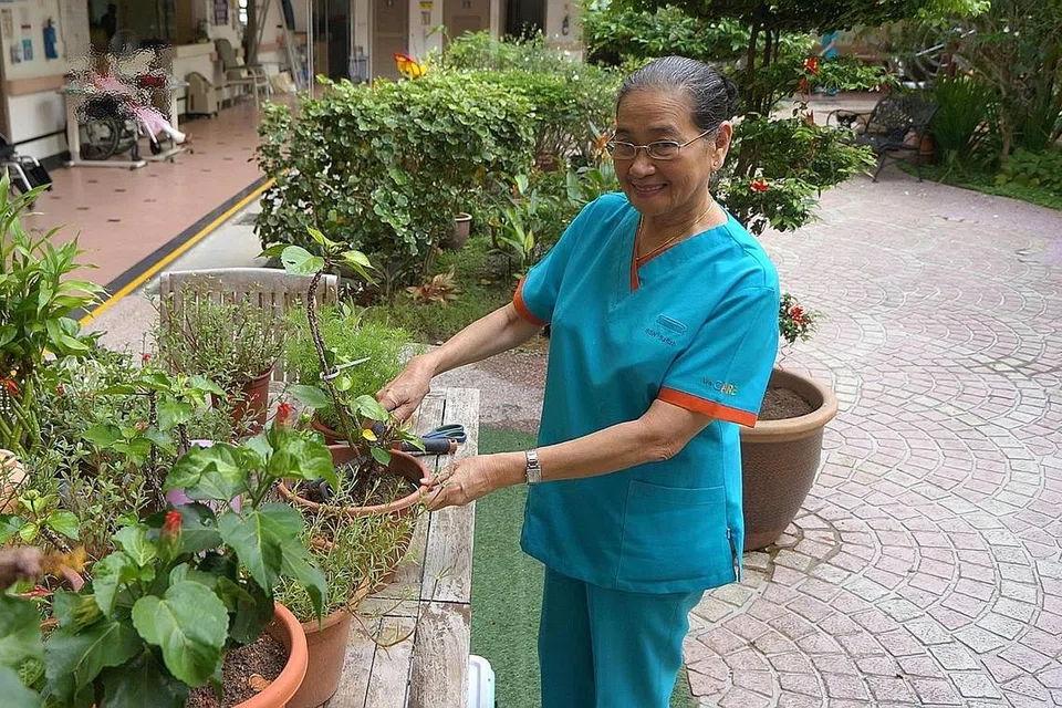 MINAT BERKEBUN: CIK Safiah, yang juga merupakan merupakan jurulatih jururawat di ITE, turut minat berkebun dan telah membantu mengendalikan terapi hortikultur bagi para penghuni di All Saints Home (Tampines). - Foto ALL SAINTS HOME