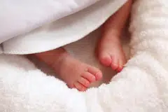 sindiket, seludup bayi, Indonesia, MHA