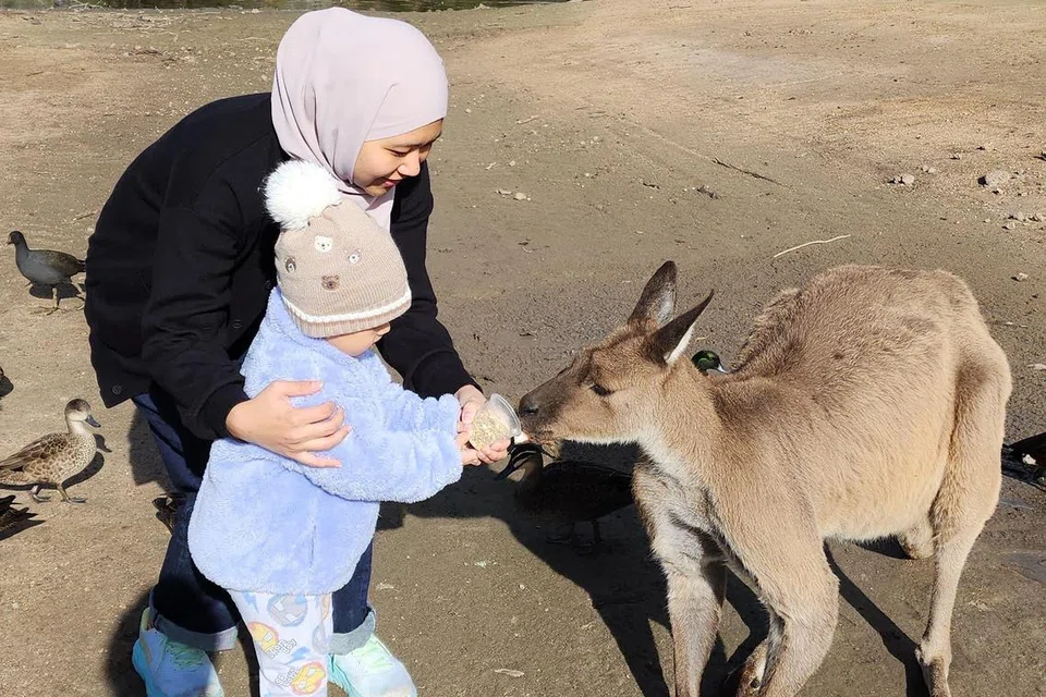 Penulis bersama anaknya, Muhammad Uwais Jefnilham, memberi makan kepada kanggaru di Moonlit Sanctuary.