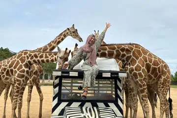 Cik Amira Rahmat melawat safari dan berinteraksi dengan zirafah di Thailand pada 2024.