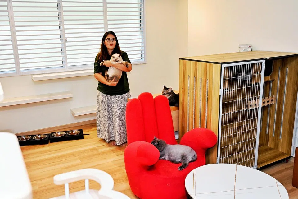 Penyelamat kucing, Cik Siti Iswani Zainal, berpindah dari rumah tiga bilik ke rumah lima bilik dengan ruang khas buat kucing. 