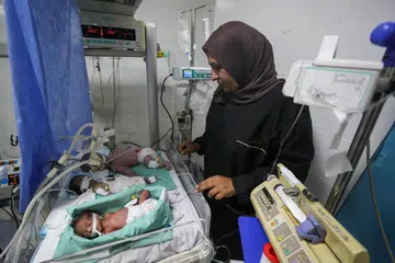 bayi, inkubator, gaza, al-helou