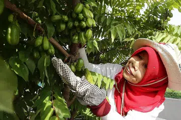 Suburkan kebun demi manfaat penduduk