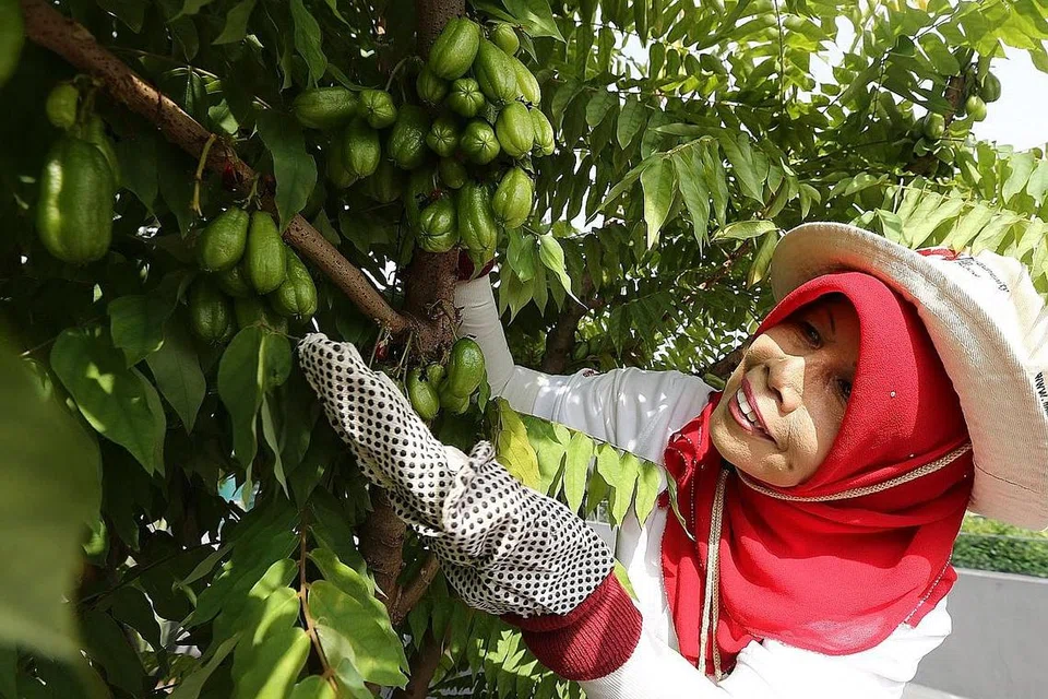 8c34b764-8f04-4381-b5e9-360b291fd78c