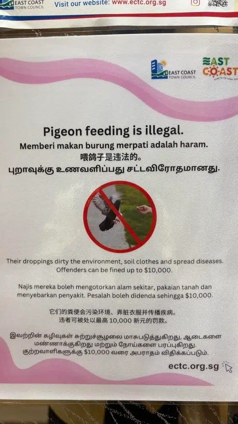 Poster yang memberi amaran bahawa penduduk tidak boleh berikan makan kepada burung merpati dalam lif.