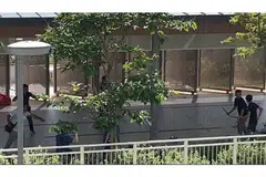 Lelaki acu pisau ditangkap di Woodlands Rise