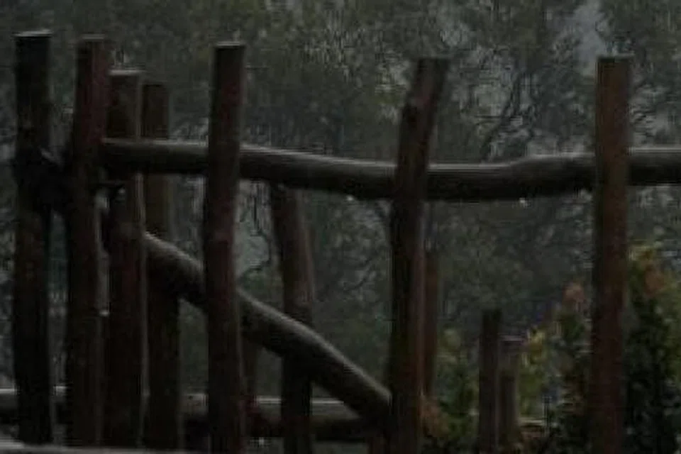 cd877d1b-2cea-49c5-b3c6-b3c5a6a4f753