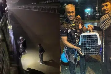 JADI PENYELAMAT: Dua lelaki yang dipercayai pakar akses tali daripada Savage Access Pte Ltd menakik turun parit tatkala air pasang untuk menyelamatkan seekor kucing daripada lemas.