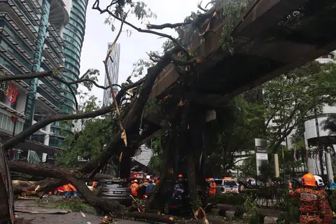 Pokok itu menghempap sebanyak 17 kenderaan dan menyebabkan landasan monorel di sebelah atas dihalang dengan dahan-dahan pokok. 