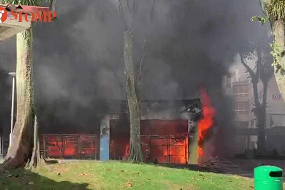 915943b7-fe9c-4178-97ed-872bb2e8e8f2