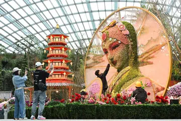 Gardens by the Bay akan menyambut Tahun Ular dengan pameran bunga baru, ‘Spring Blossoms’, yang menampilkan replika bunga setinggi 4.5 meter daripada legenda ‘Madam White Snake di Flower Dome’ mulai 17 Januari.