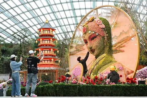 Gardens by the Bay akan menyambut Tahun Ular dengan pameran bunga baru, ‘Spring Blossoms’, yang menampilkan replika bunga setinggi 4.5 meter daripada legenda ‘Madam White Snake di Flower Dome’ mulai 17 Januari.