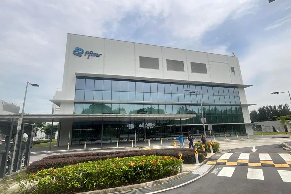Singapura, sektor pembuatan, Amerika Syarikat, tarif, Pfizer