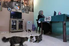 Sejak dasar kerja dari rumah (BDR) dilaksanakan buat  penjawat awam bermula 15 April, kadar permohonan cuti sakit menurun 30 peratus di Selangor. 