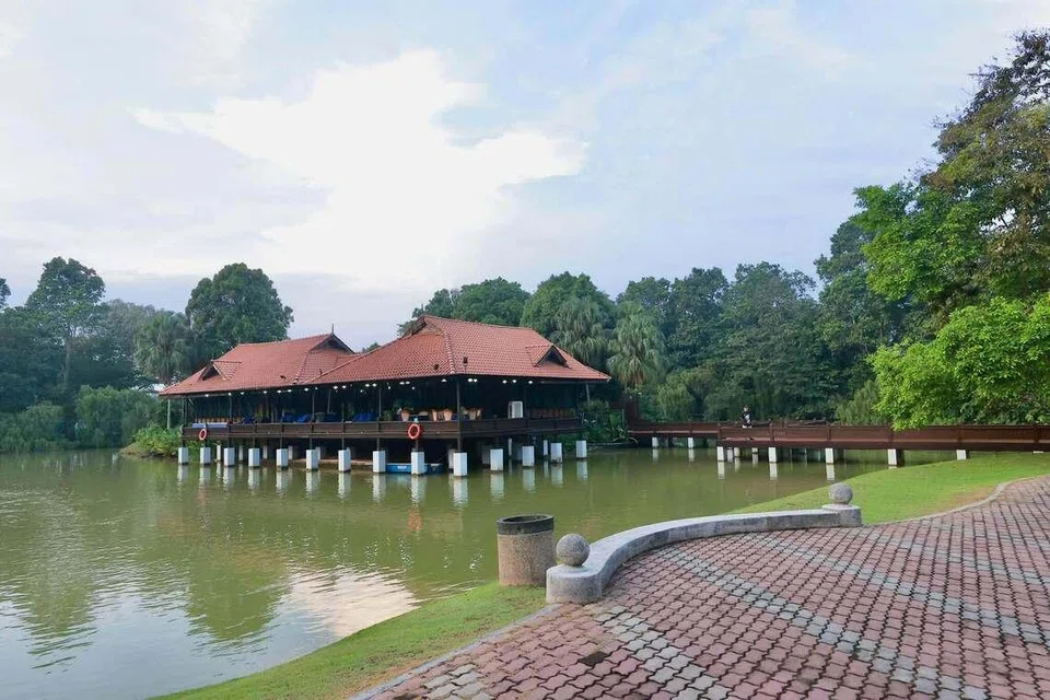 Hutan Bandar Majlis Bandaraya Iskadar Puteri (MBIP), Mutiara Rini.