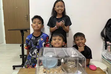 Empat adik-beradik ghairah dan gembira kerana terdapat hamster di rumah. Dalam gambar (dari kiri mengikut putaran jam) termasuk ‘Adn Mika Syah Abdul Mannan, Amanda Nurimani Abdul Mannan, Aisy Al-Mateen Abdul Mannan dan Arjuna Nuha Abdul Mannan.