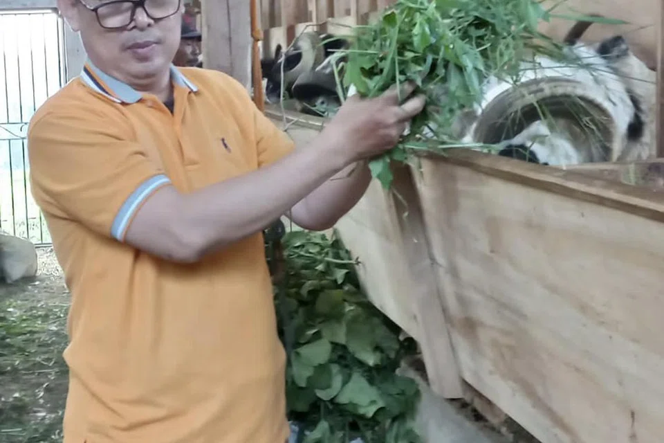 AMANAH DIGENGGAM: Ustaz Ahmad Husayni memastikan segala urusan melaksanakan korban di Bandung berjalan lancar dan haiwan yang disediakan sihat.