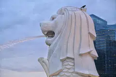 Semasa kerja-kerja dijalankan, patung Merlion akan ditutup dengan perancah.