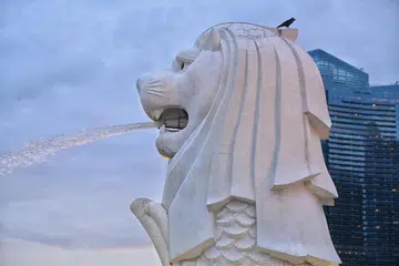 Semasa kerja-kerja dijalankan, patung Merlion akan ditutup dengan perancah.