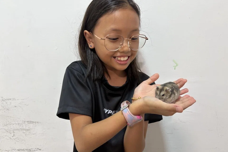 Cik Fathiah membeli hamster sebagai hadiah hari jadi awal untuk Amanda Nurimani Abdul Mannan yang menyambut hari jadinya pada September.