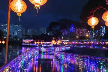 KOLAM PANG SUA: Pemandangan penuh berwarna-warni ini sempena perayaan Tahun Baru Cina boleh disaksikan oleh pengunjung apabila mereka melawat ke Kolam Pang Sua di Bukit Panjang ini. - Foto THE BM SHOW