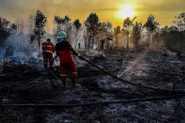 PADAM KEBAKARAN: Anggota bomba cuba memadamkan kebakaran belukar di Kampar, Sumatra, sedang pihak berkuasa mengerahkan beribu-ribu kakitangan tambahan untuk mencegah berulangnya kebakaran pada 2015, yang menyebabkan jerebu selama berminggu-minggu. - Foto Reuters