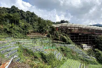 Sultan Pahang berkata ada tanah di Cameron Highlands yang dipajak dan disewa kepada petani serta pengusaha tempatan tetapi kini disewakan kepada warga asing.