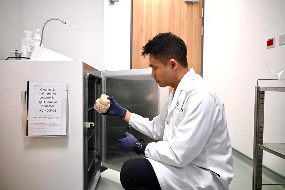 Encik Hanif memasukkan piring Petri ke dalam inkubator mikrobiologi kawalan kualiti (QC) untuk menjalankan ujian sebagai sebahagian daripada tugas kawalan kualitinya.