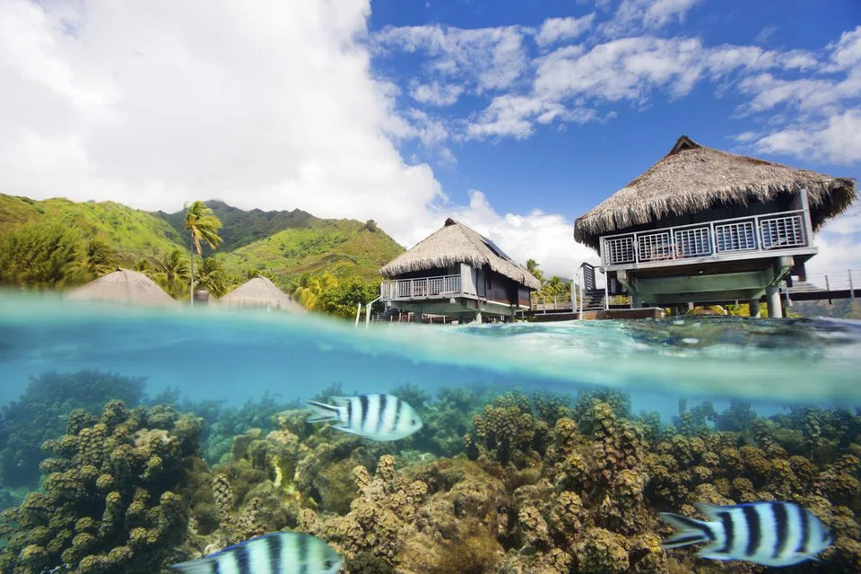 Polynesia Perancis merupakan destinasi tropika yang membolehkan pengunjung bercuti dengan santai.